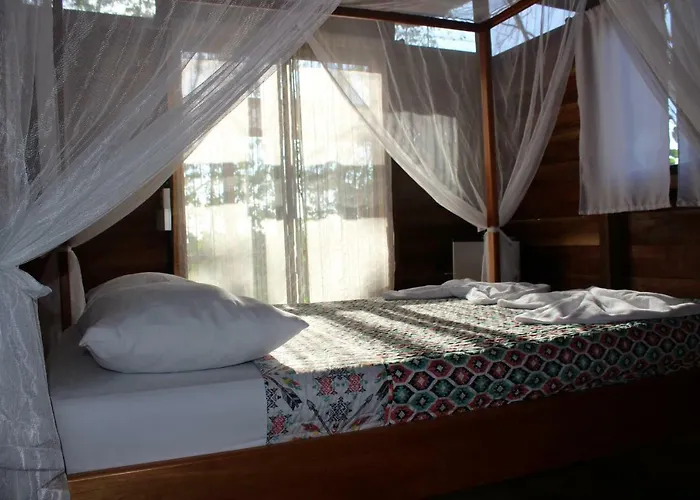 Surf Treehouse 1 * Sámara