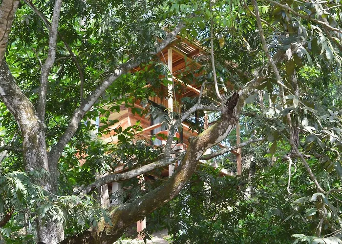 Surf Treehouse 1 Gasthof *